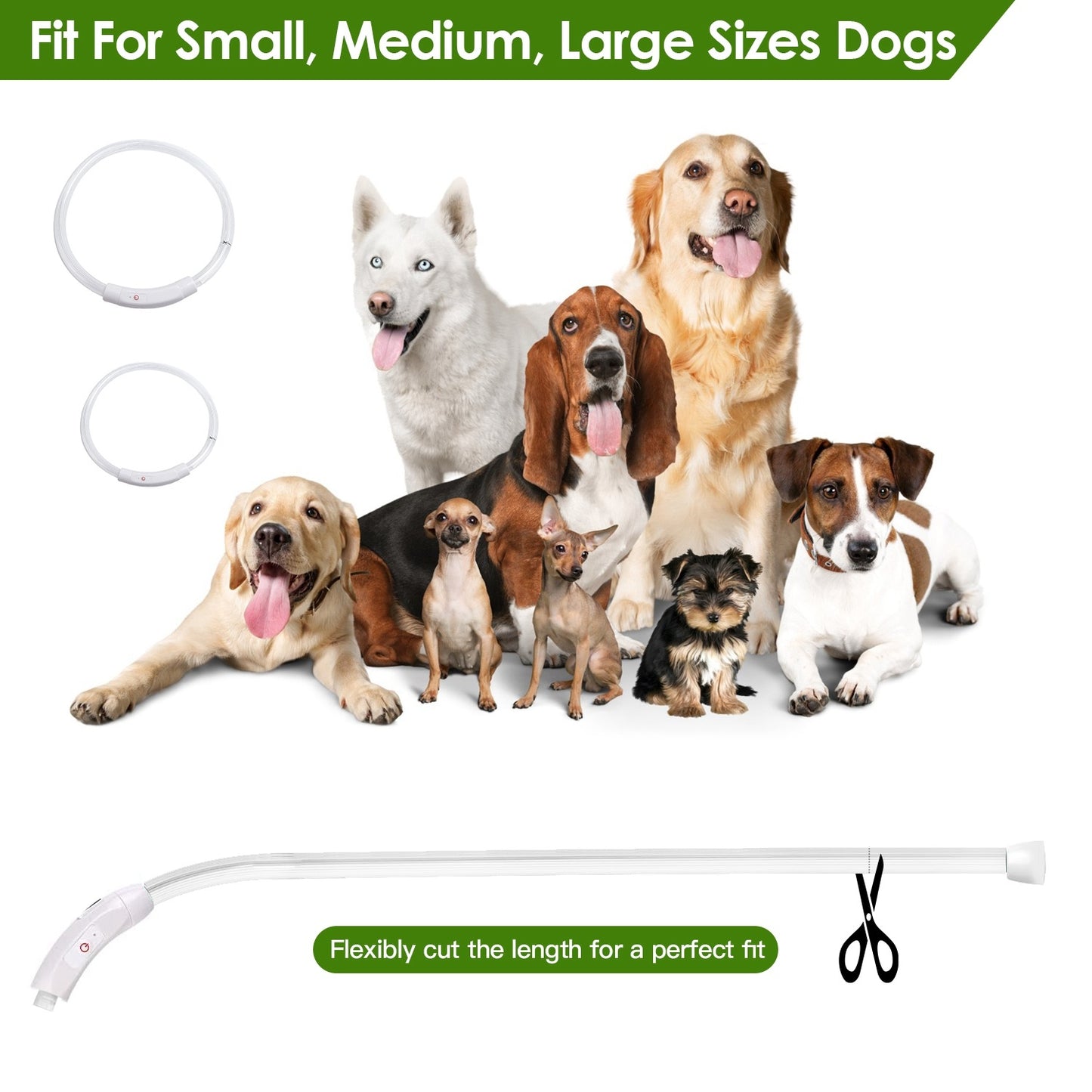 Scoopy Doo USB Rechargeable LED Dog Collar Multi Color Glow Dog Collar For Night Walking