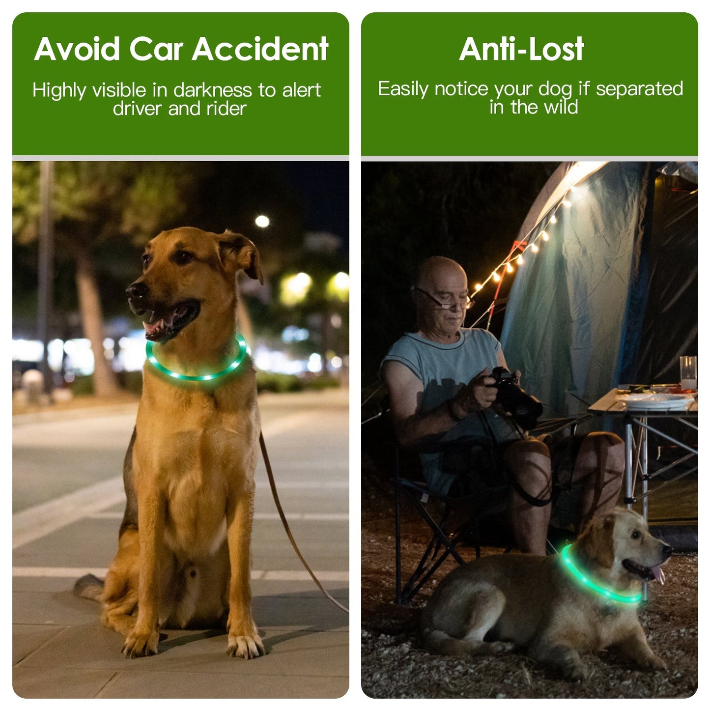 Scoopy Doo USB Rechargeable LED Dog Collar Multi Color Glow Dog Collar For Night Walking