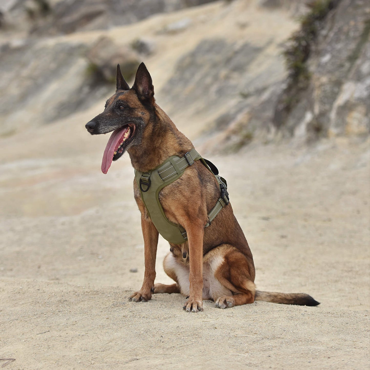 Scoopy Doo High-Perfomance Tactical Dog Harness With Poop Bag Holder, No Pull Front Clip