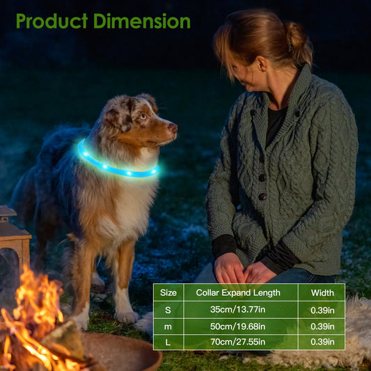 Scoopy Doo USB Rechargeable LED Dog Collar Multi Color Glow Dog Collar For Night Walking