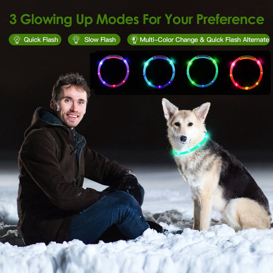 Scoopy Doo USB Rechargeable LED Dog Collar Multi Color Glow Dog Collar For Night Walking